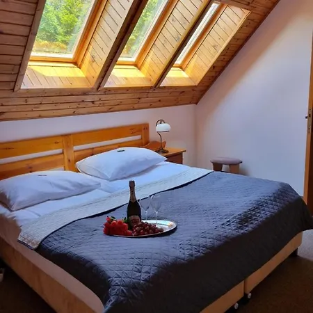 Karkonosze ホテル 3*