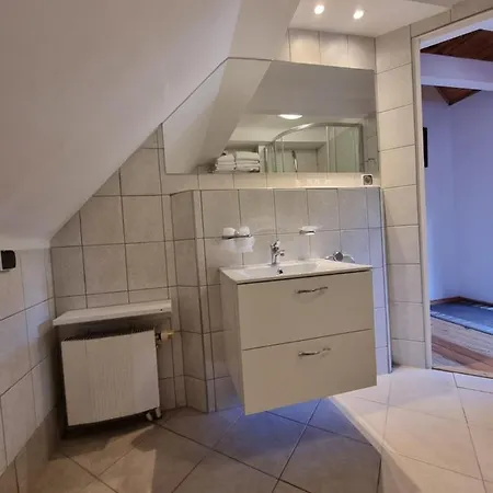 Karkonosze ホテル 3*