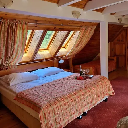 ホテル Karkonosze 3*