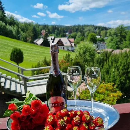 Karkonosze Hotel 3*