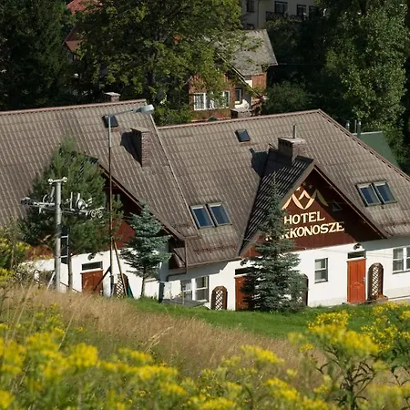 Hotel Karkonosze 3*