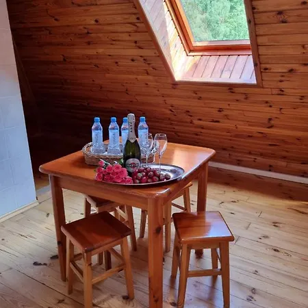 Karkonosze فندق
