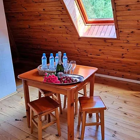 Hotel Karkonosze