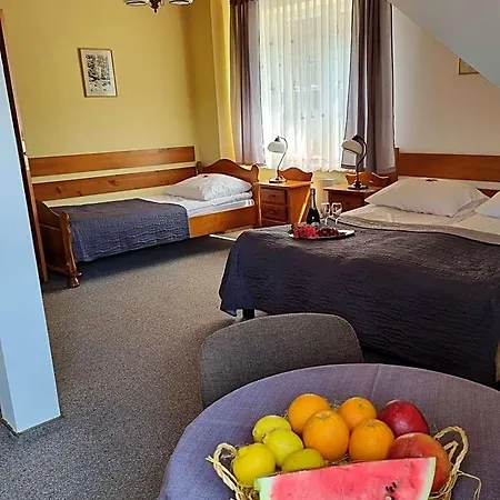 Karkonosze Hotel 3*