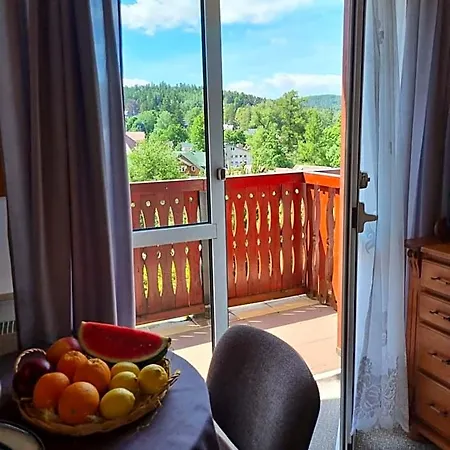 Hotel Karkonosze